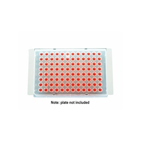 Excel Scientific eXTReme Seal, Large, Clear, Non-Sterile, 100/pk, 100PK 202561 - main